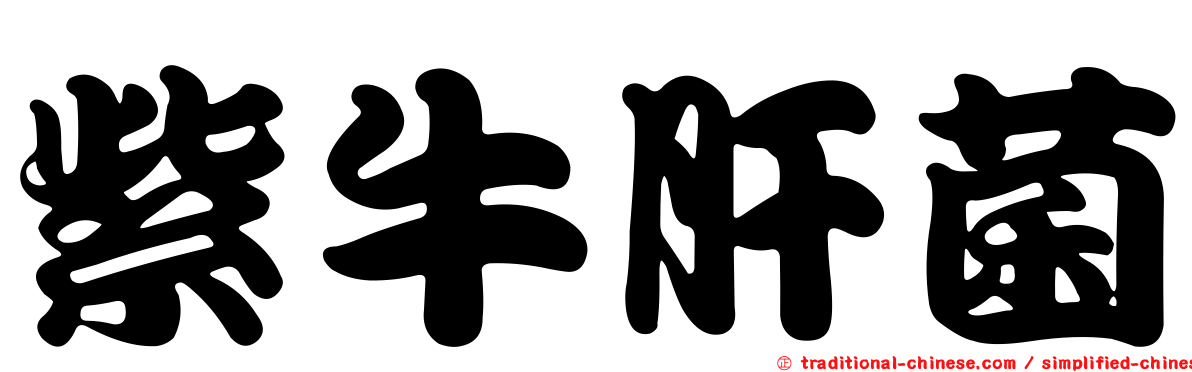 紫牛肝菌