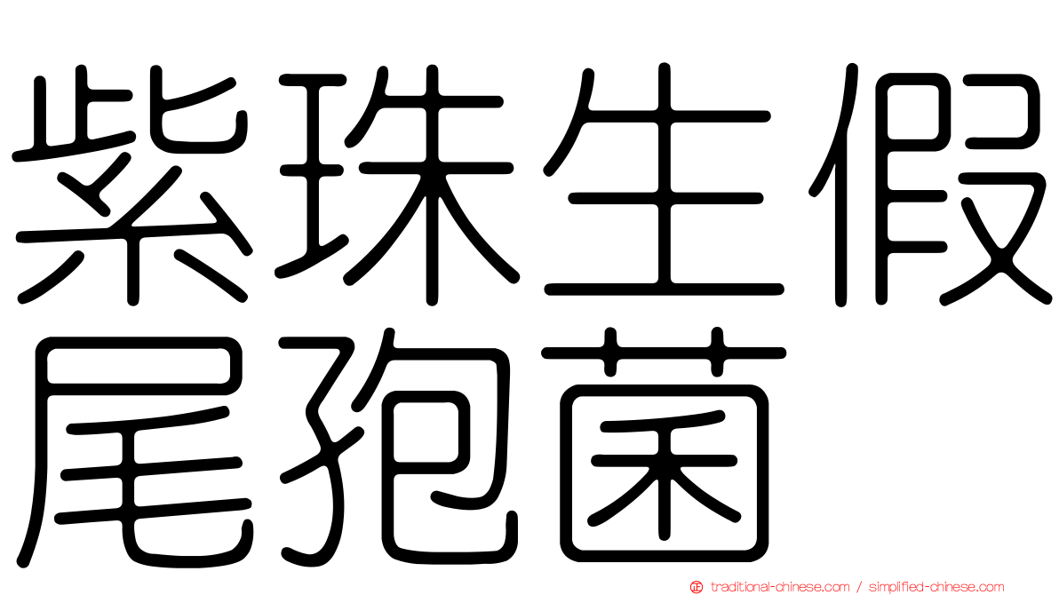 紫珠生假尾孢菌