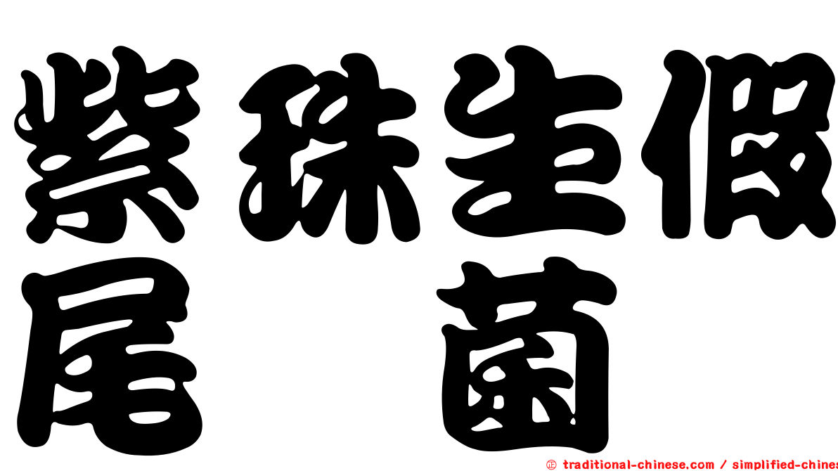 紫珠生假尾孢菌