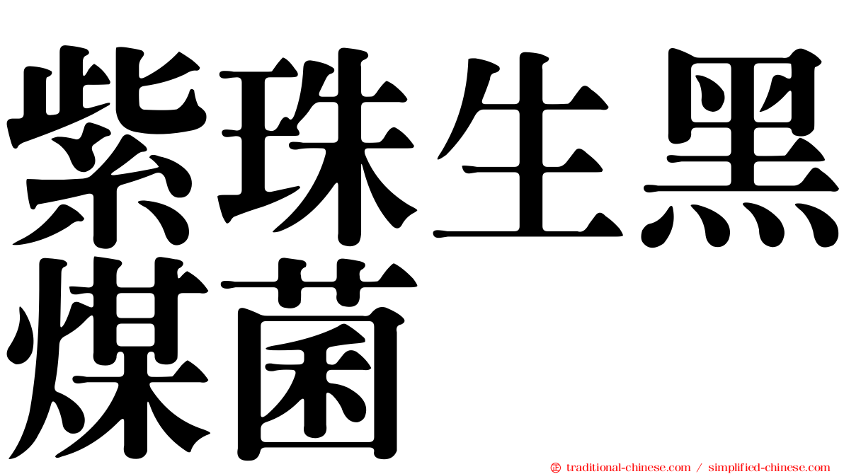 紫珠生黑煤菌