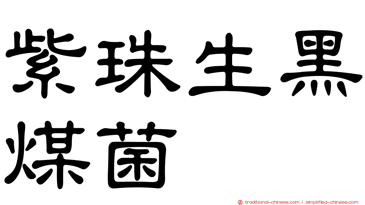 紫珠生黑煤菌
