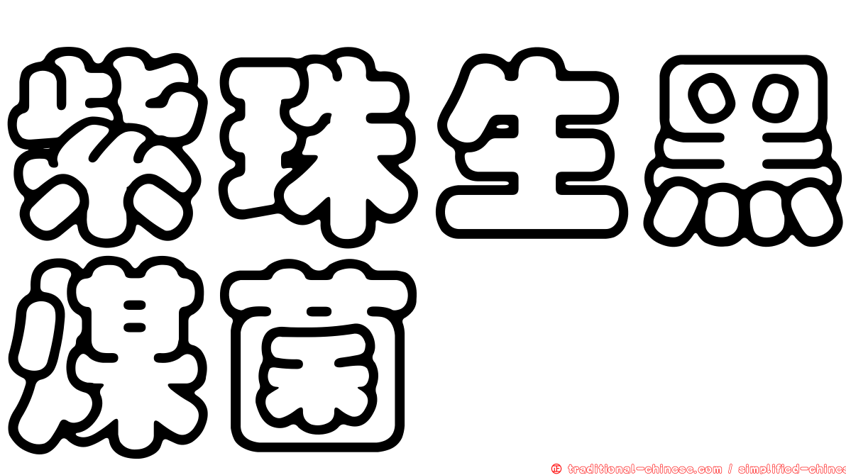 紫珠生黑煤菌