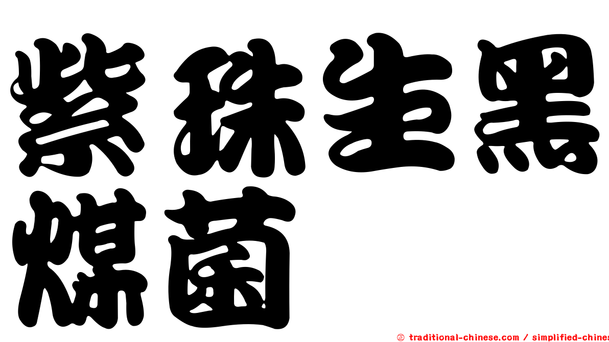 紫珠生黑煤菌