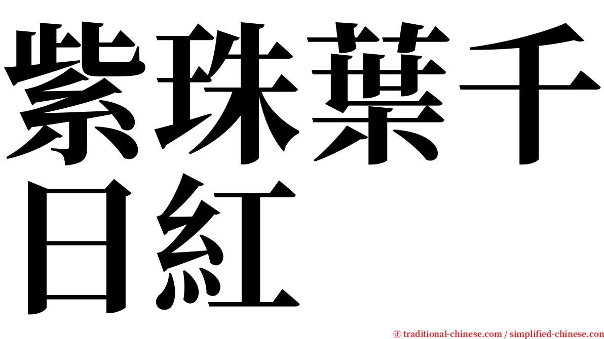 紫珠葉千日紅 serif font