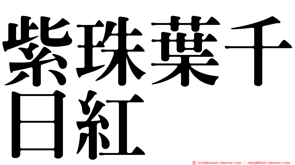 紫珠葉千日紅