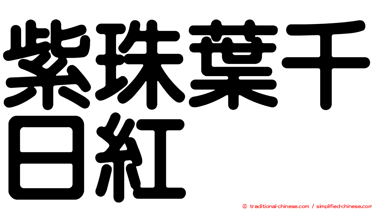 紫珠葉千日紅