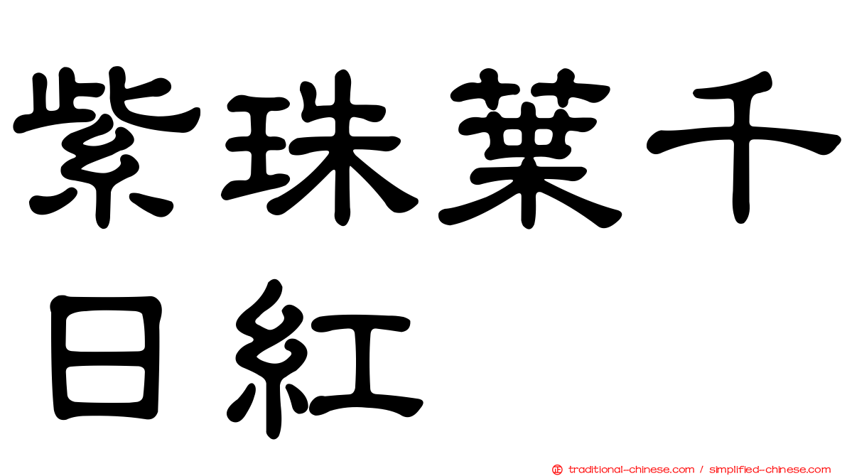 紫珠葉千日紅