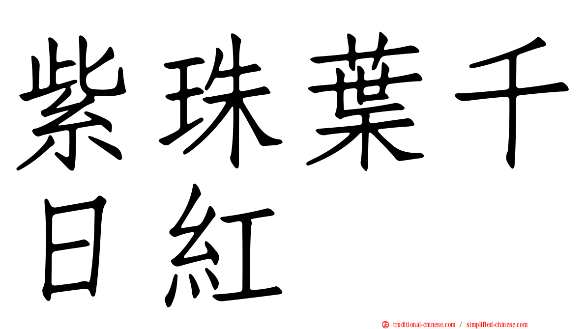 紫珠葉千日紅