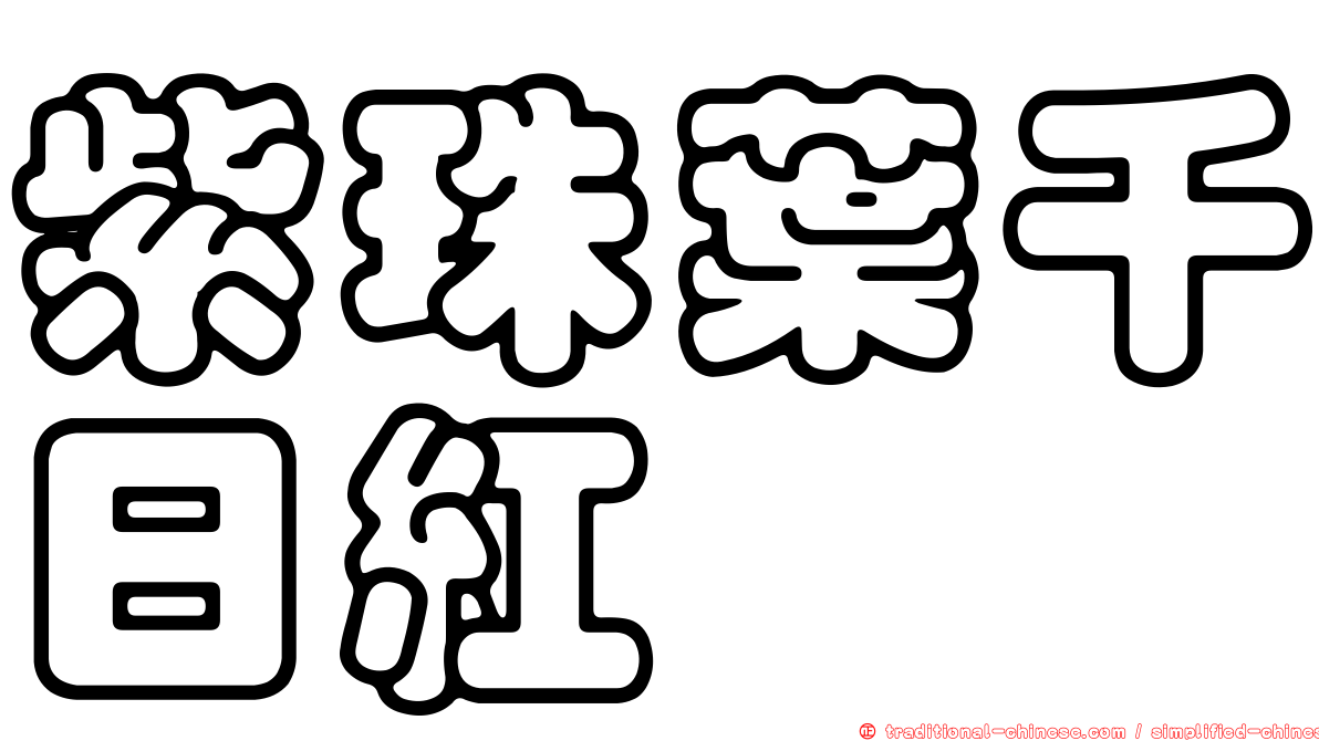紫珠葉千日紅