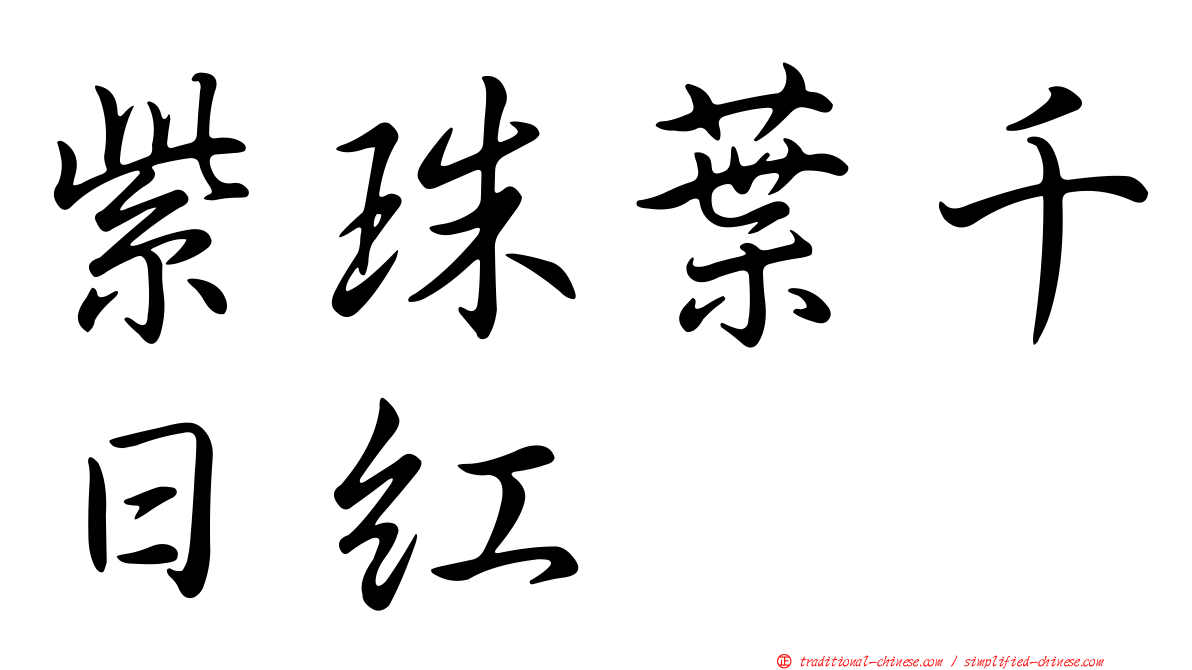 紫珠葉千日紅