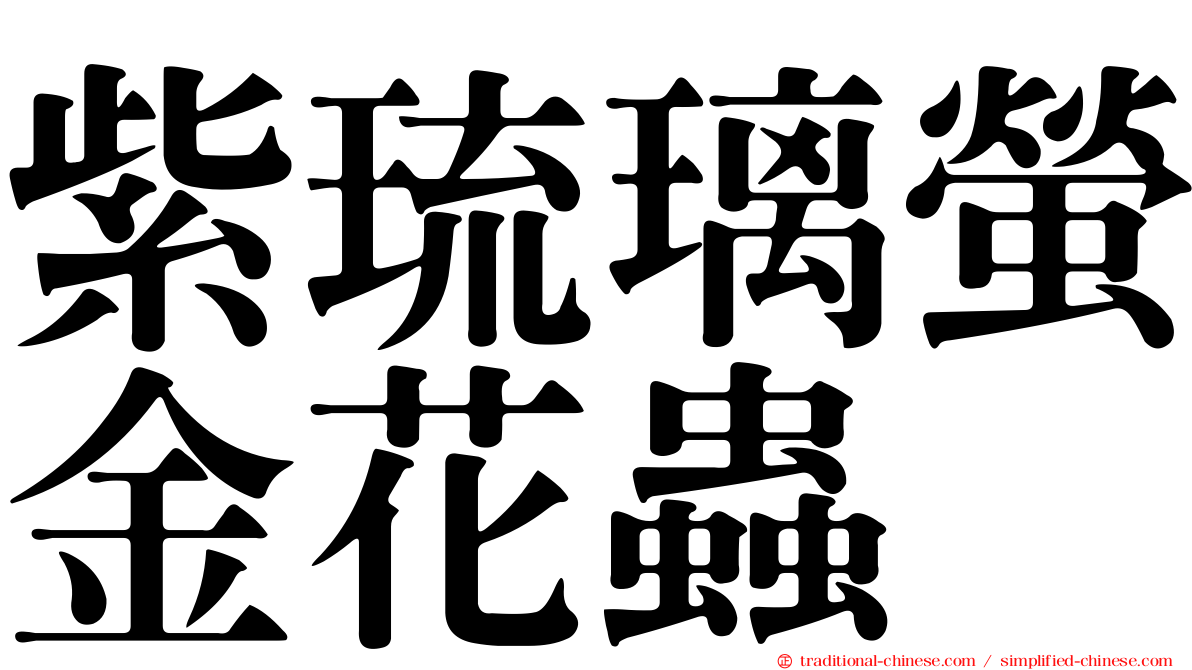 紫琉璃螢金花蟲