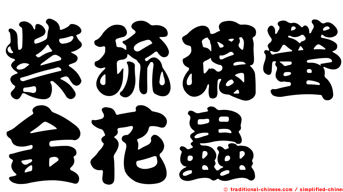 紫琉璃螢金花蟲