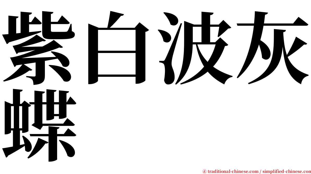紫白波灰蝶 serif font