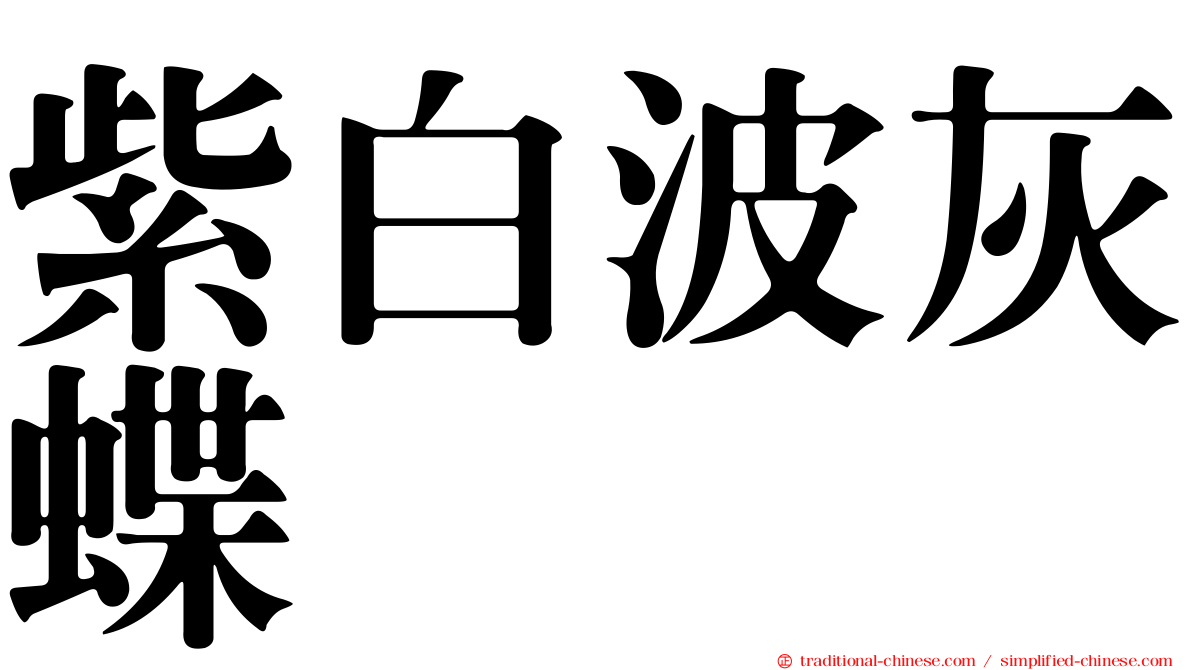 紫白波灰蝶