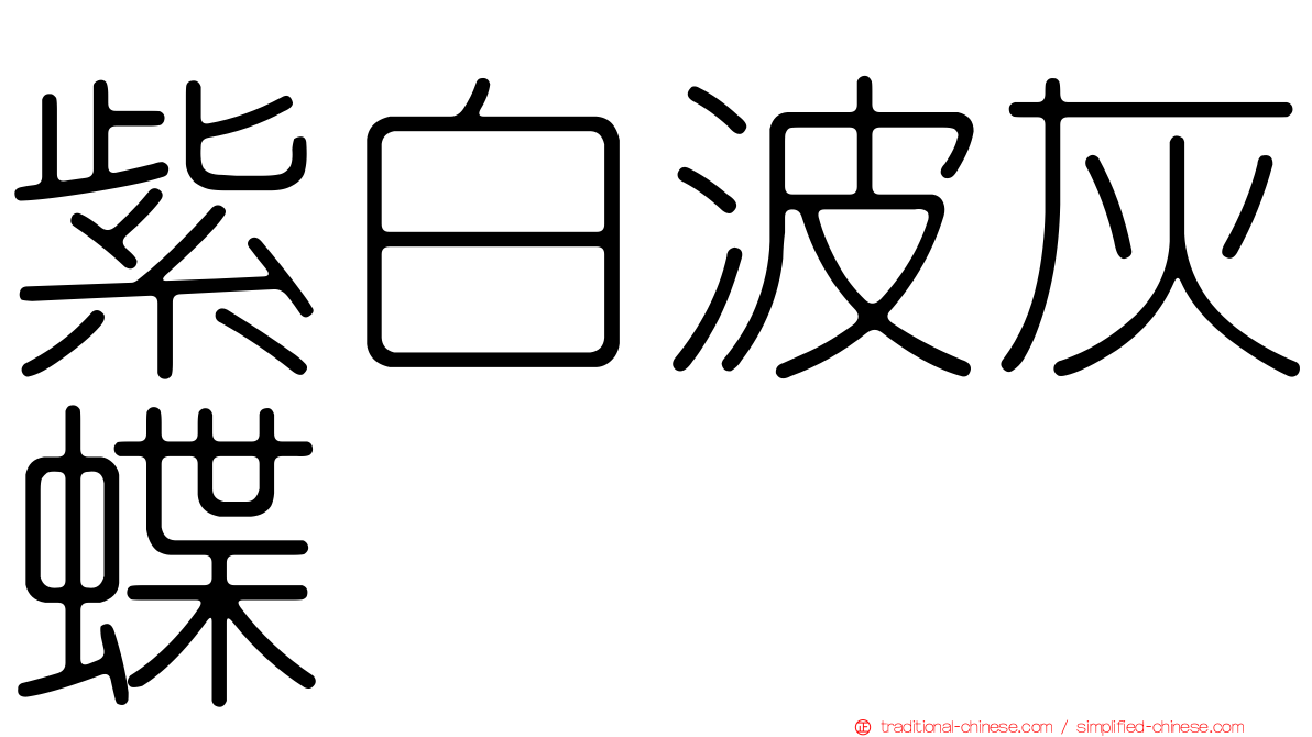 紫白波灰蝶
