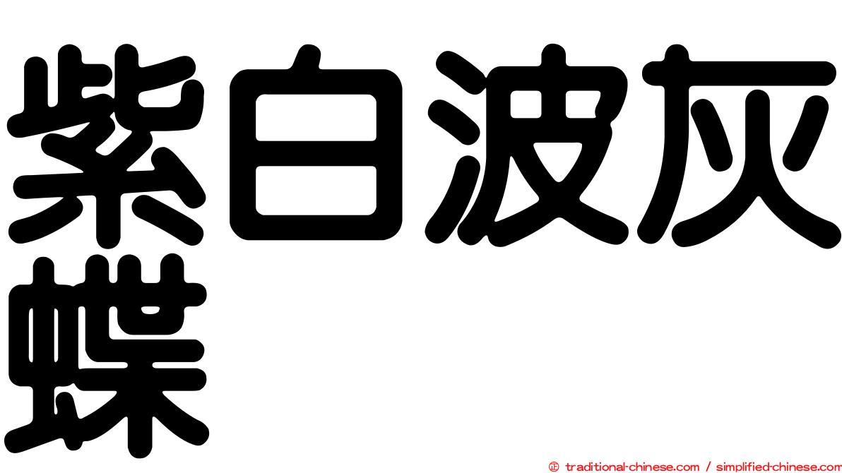 紫白波灰蝶
