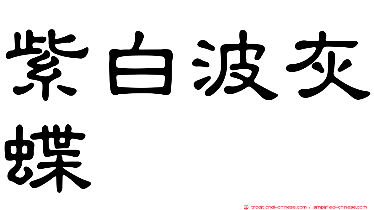 紫白波灰蝶