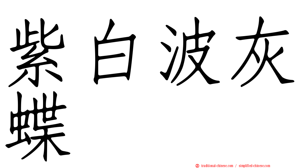 紫白波灰蝶