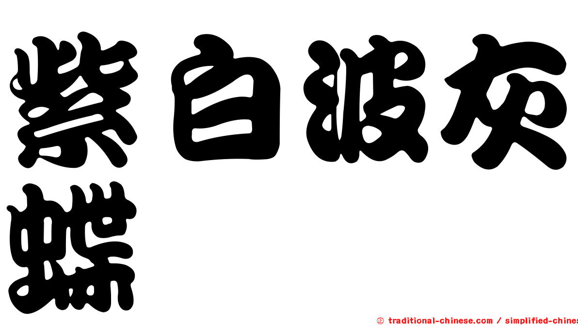 紫白波灰蝶