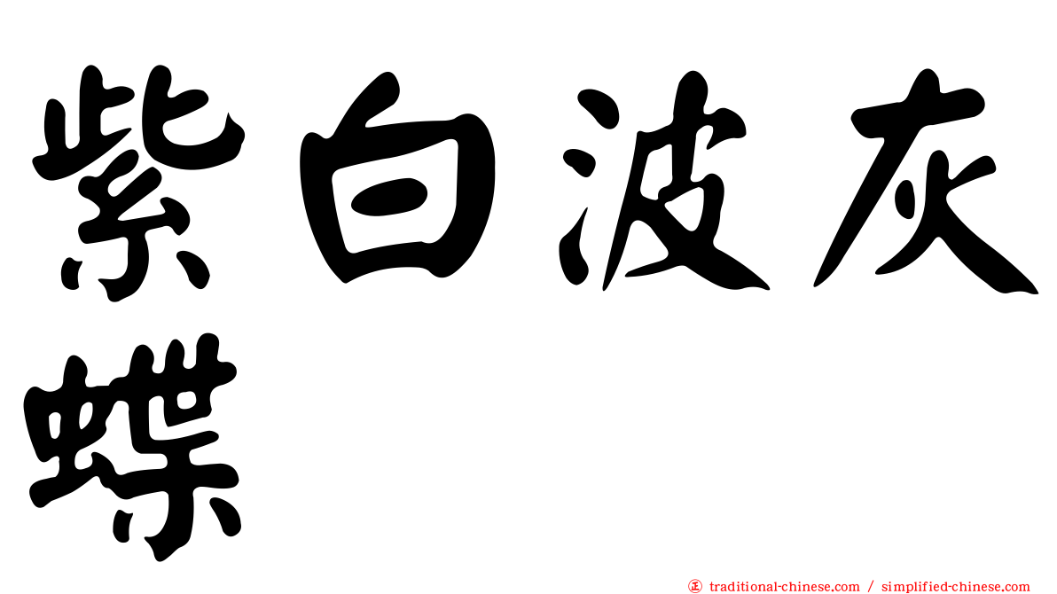 紫白波灰蝶