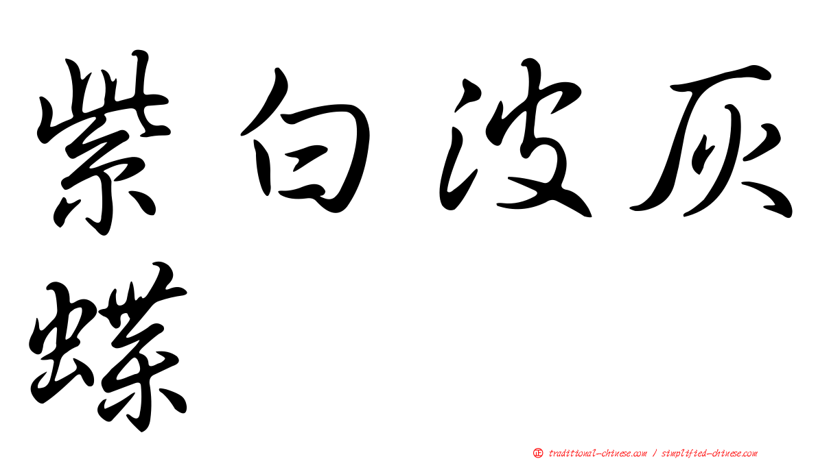 紫白波灰蝶
