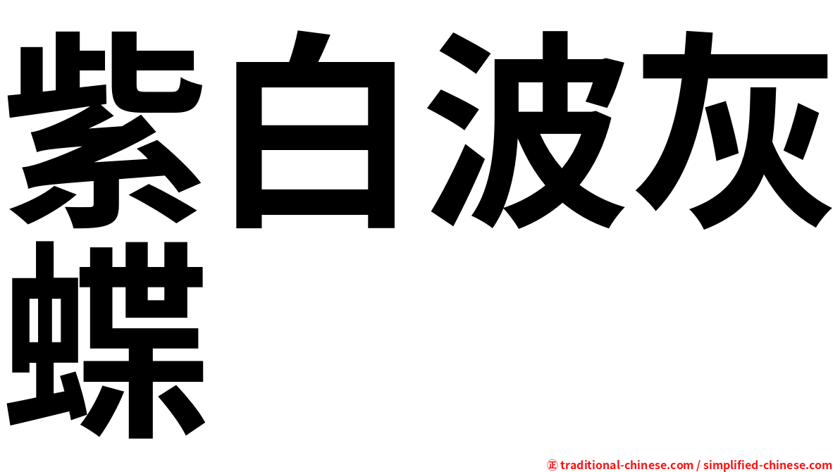 紫白波灰蝶