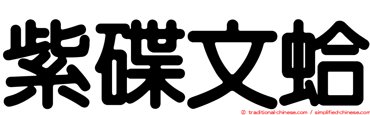 紫碟文蛤