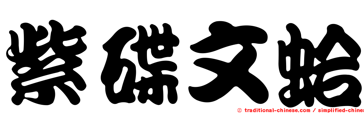 紫碟文蛤
