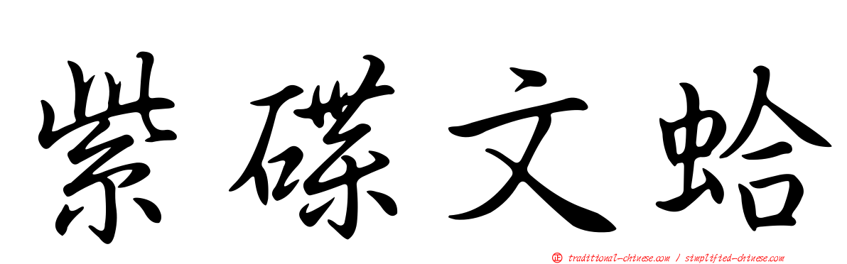 紫碟文蛤