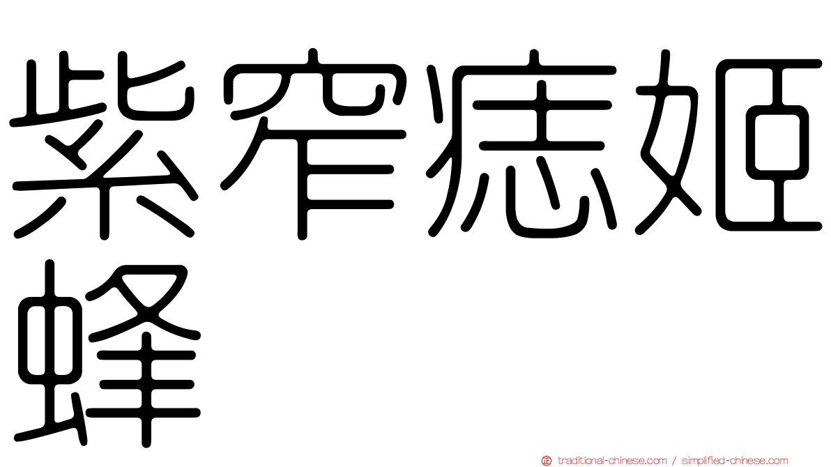 紫窄痣姬蜂