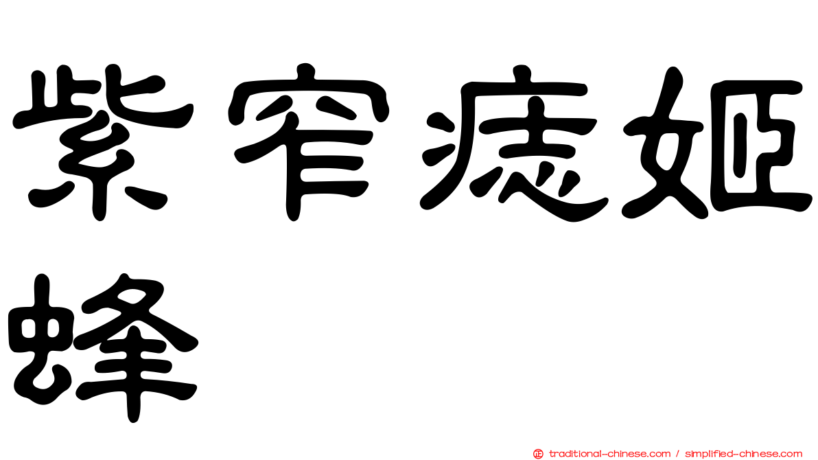 紫窄痣姬蜂