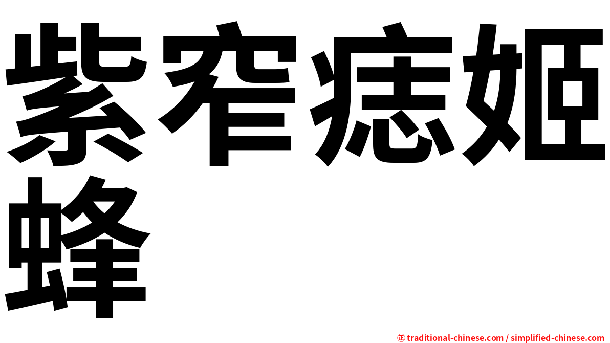 紫窄痣姬蜂