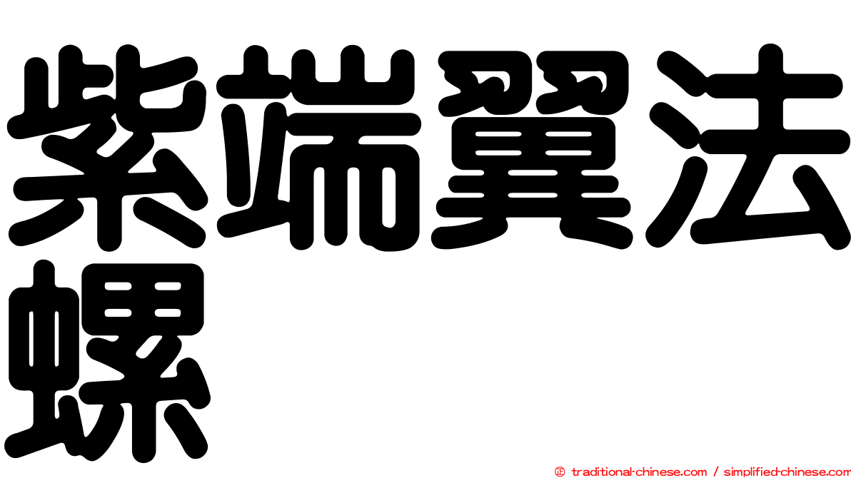 紫端翼法螺