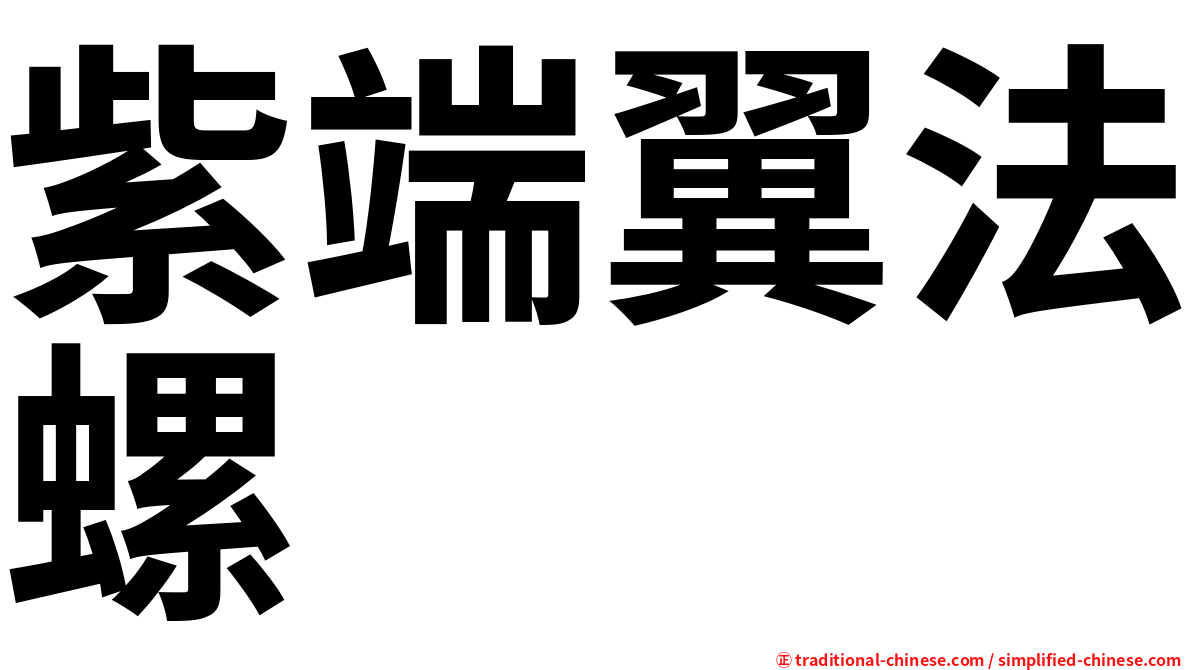紫端翼法螺