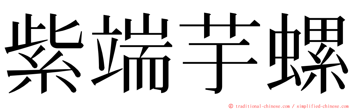 紫端芋螺 ming font