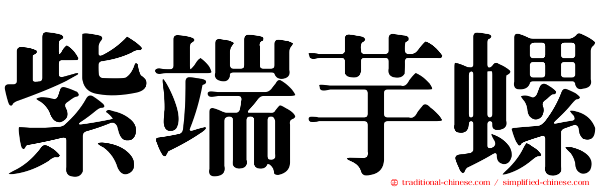 紫端芋螺