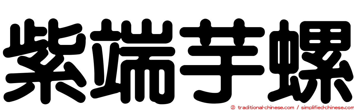 紫端芋螺
