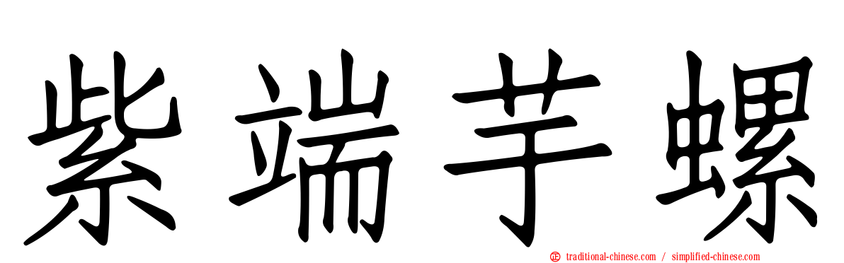 紫端芋螺