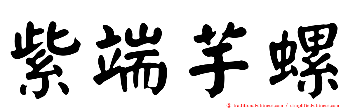 紫端芋螺