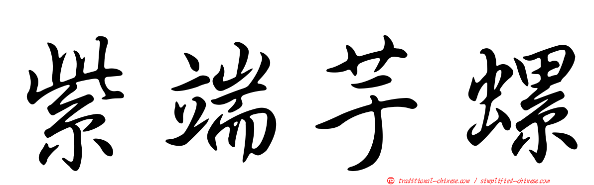紫端芋螺