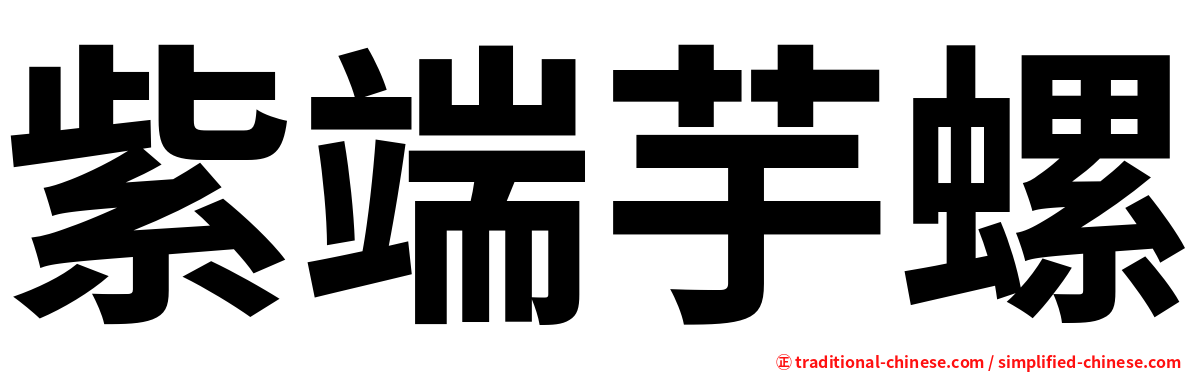 紫端芋螺