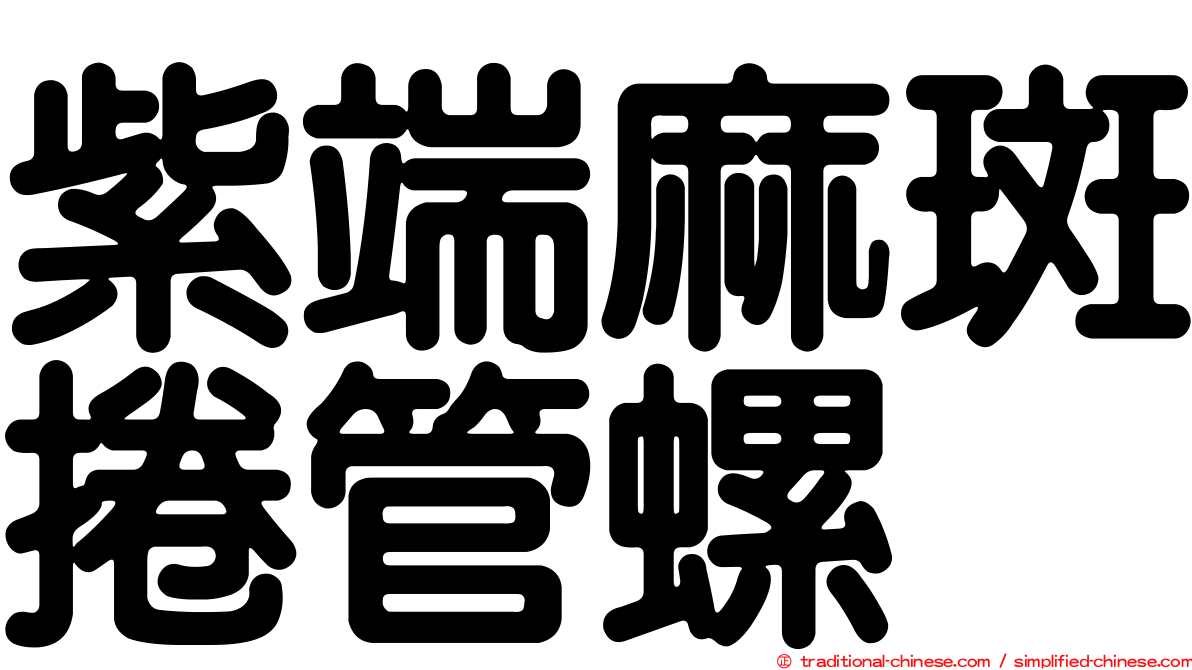 紫端麻斑捲管螺