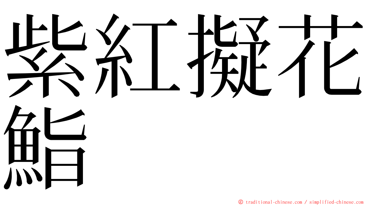 紫紅擬花鮨 ming font