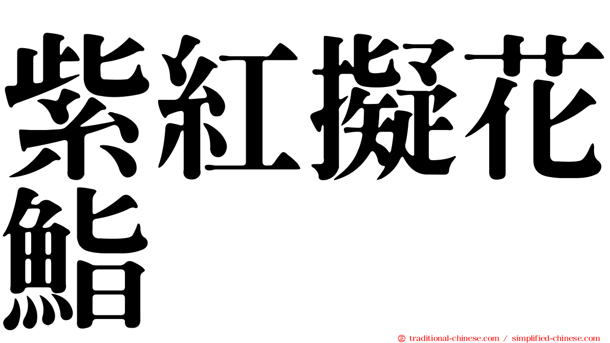 紫紅擬花鮨