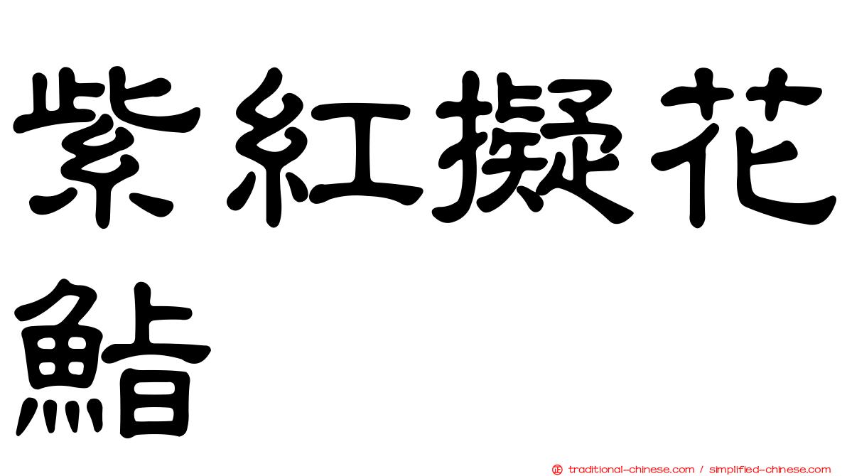 紫紅擬花鮨