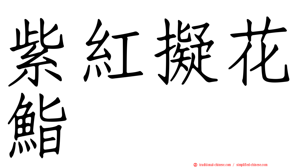 紫紅擬花鮨