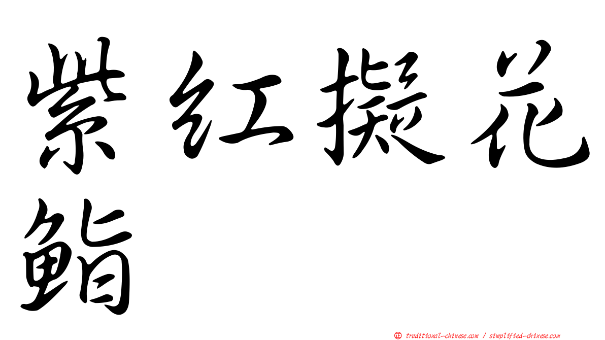紫紅擬花鮨
