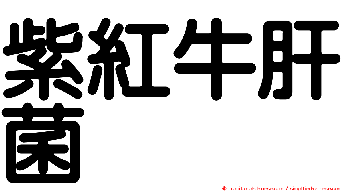 紫紅牛肝菌
