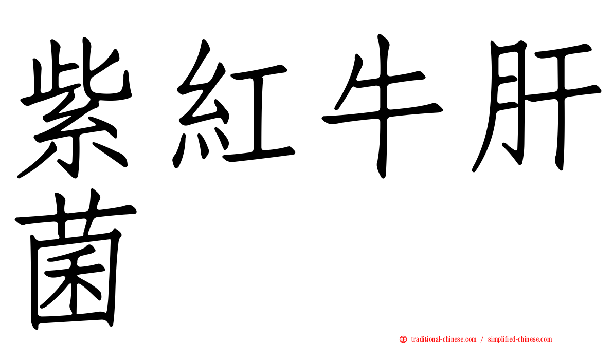 紫紅牛肝菌