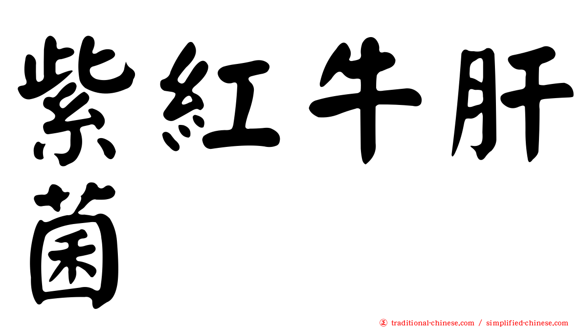 紫紅牛肝菌